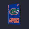 Official blue Florida Gators PS5 Skin shown on PS5 Disc Edition console.
