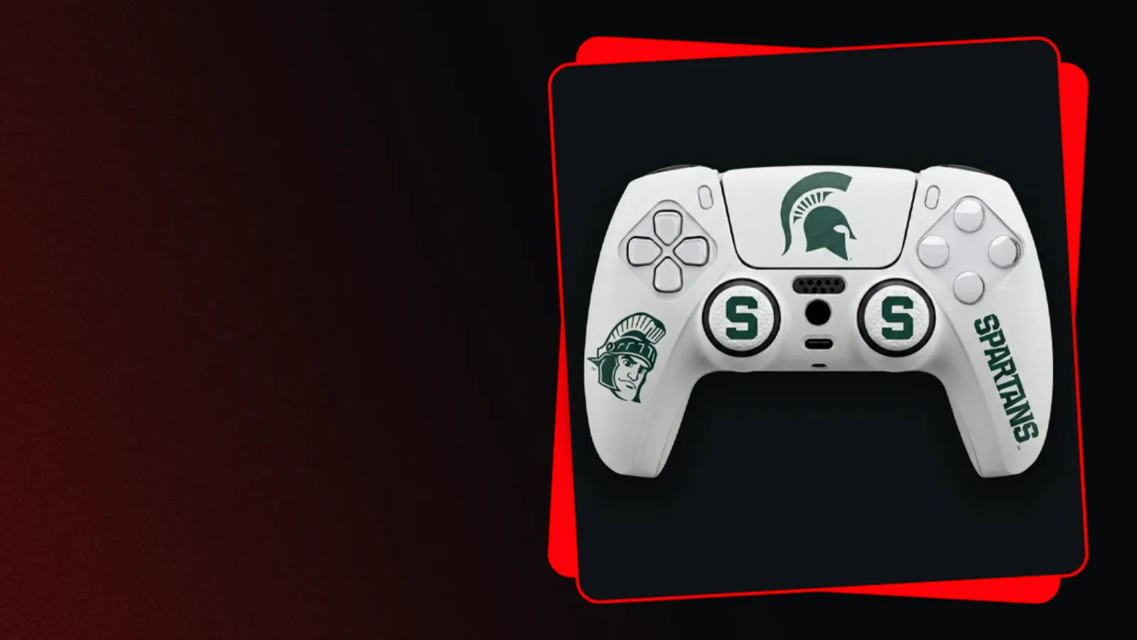 Michigan State Spartans collection banner