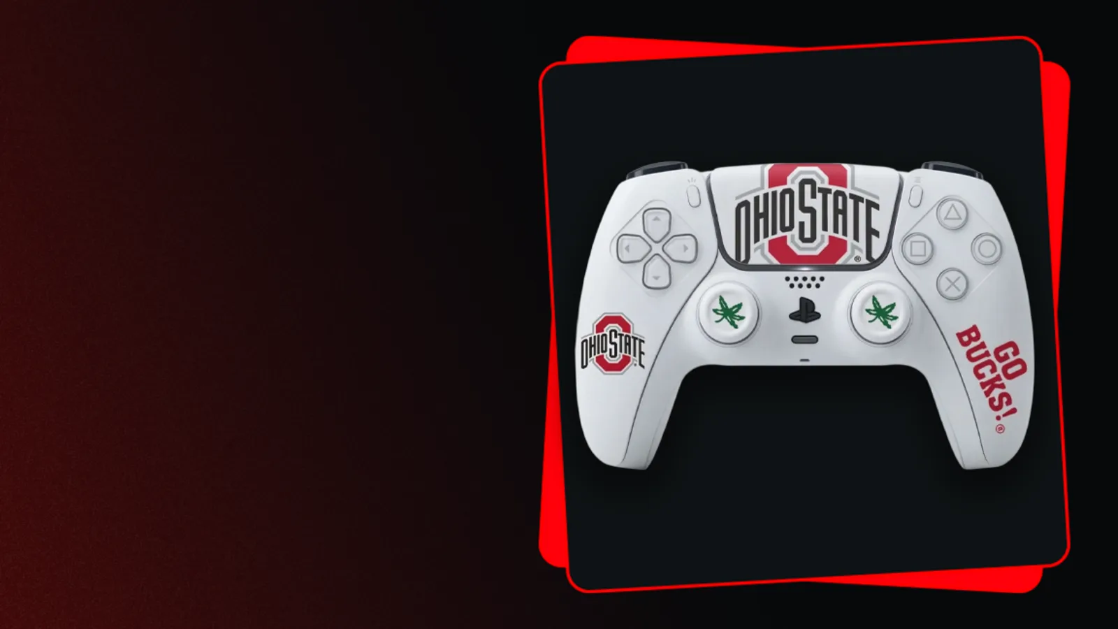 Ohio State Buckeyes collection banner