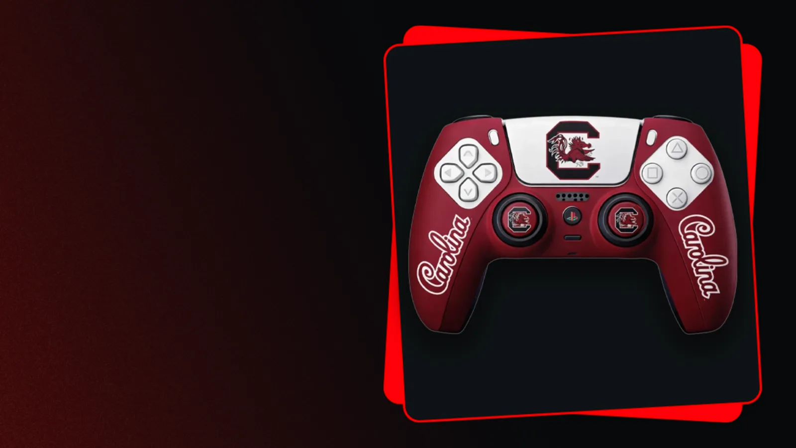 South Carolina Gamecocks collection banner